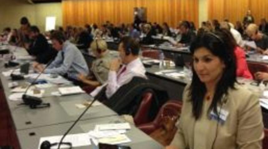 &Ccedil;ığlık, Pab Toplantısına Katılacak