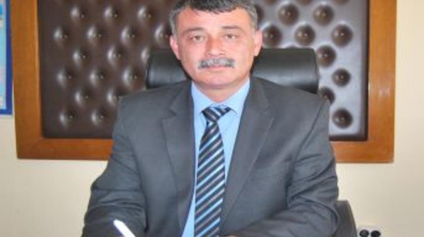 Mut'ta Zeytin &Uuml;retimi Her Ge&ccedil;en Yıl Artıyor