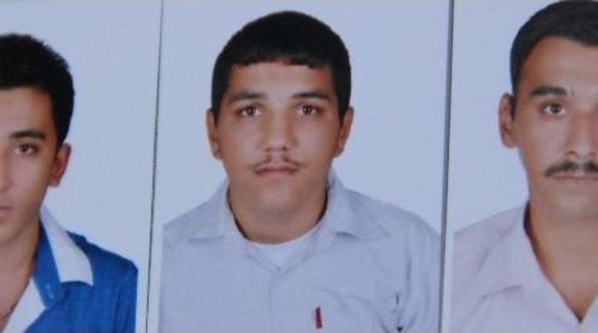 Anneden Evlatlara Son &Ouml;p&uuml;c&uuml;k