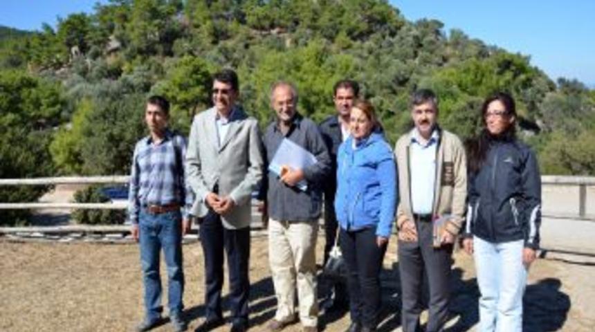 Bodrum'daki Pedasa Antik Kentinde Kuş Cinsleri Araştırılacak