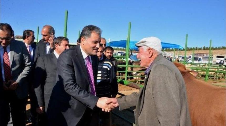 Başkan &Ccedil;akır, Hayvan Pazarı&rsquo;nda İnceleme Yaptı