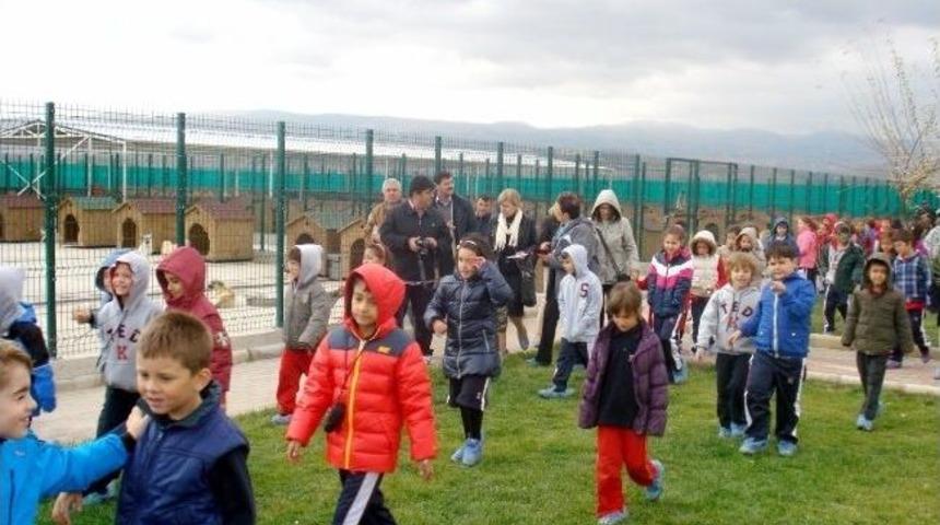 Ge&ccedil;ici Hayvan Bakımevi Kapılarını &Ouml;ğrencilere A&ccedil;tı