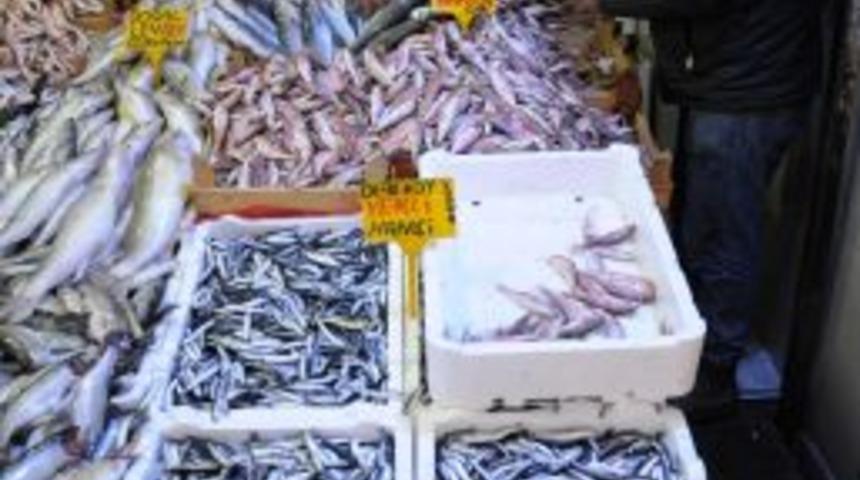 Olumsuz Hava Şartları Hamsinin Fiyatını Tavan Yaptırdı