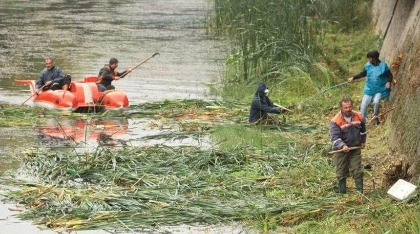 Başiskele&rsquo;de Dereler Temizleniyor