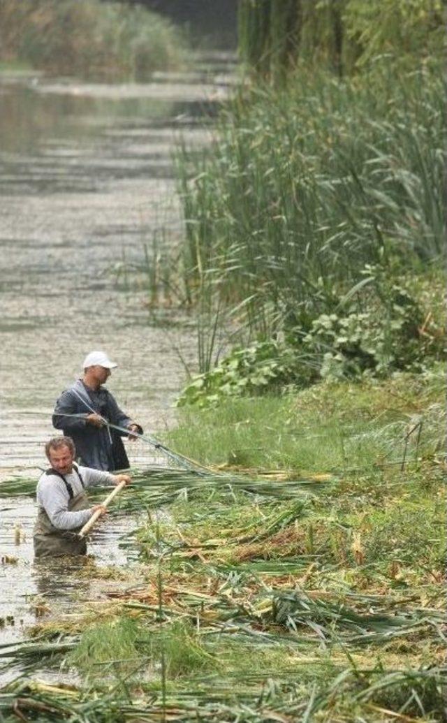 Başiskele’de Dereler Temizleniyor