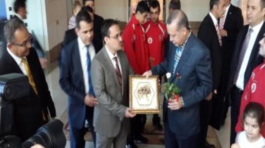 D&uuml;nya Arıcılık Kongresi 2017 Yılında İstanbul&rsquo;da Yapılacak