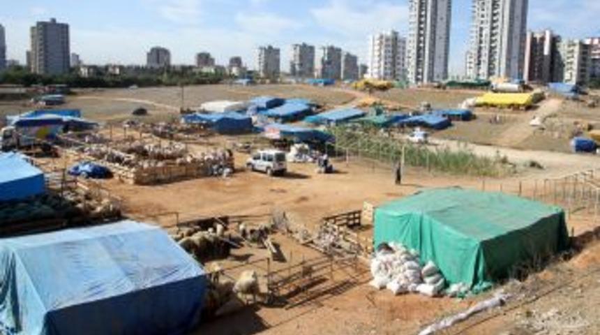 &Ccedil;ukurova&rsquo;da Kurban Satış Ve Kesim Yerleri Belirlendi