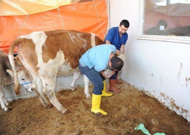 Altındağ’daki Kurbanlıklara Tam Not Verildi