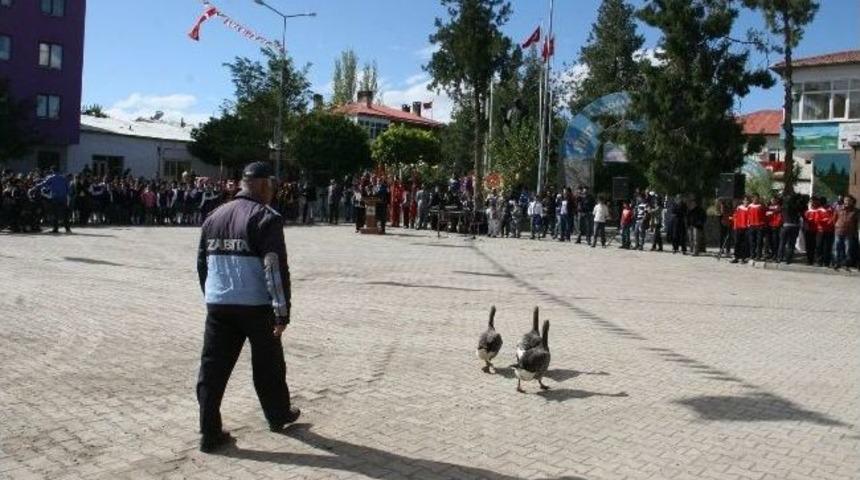 Kazlar T&ouml;ren Alanını Bastı
