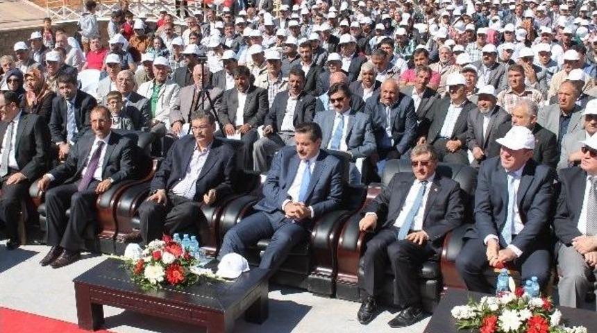 Bakan &Ccedil;elik, Ağa&ccedil; Dikti
