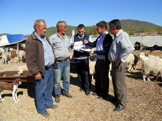 Dalaman&rsquo;da Kurbanlık Hayvanların Denetimi Başladı 1