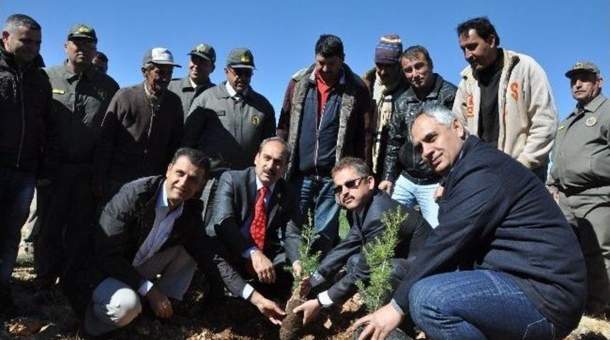 Mersinde Ağa&ccedil;landırma &Ccedil;alışmaları Başladı