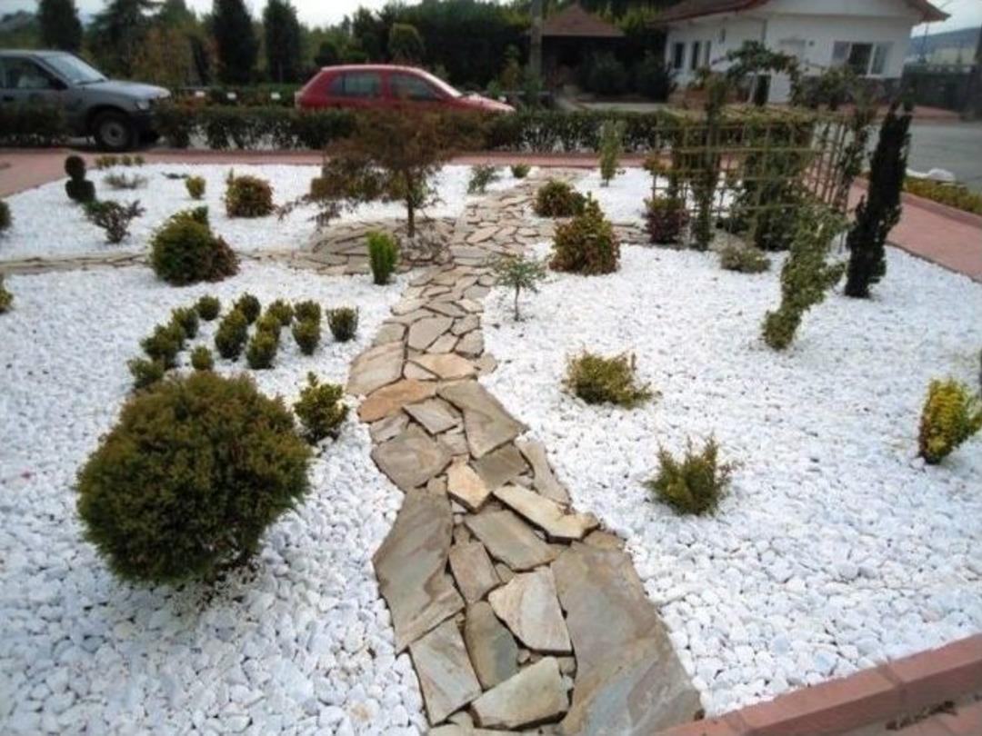 Doğal Taş Ve Ağa&ccedil; Kabuğunun Oluşturduğu Muhteşem Uyum