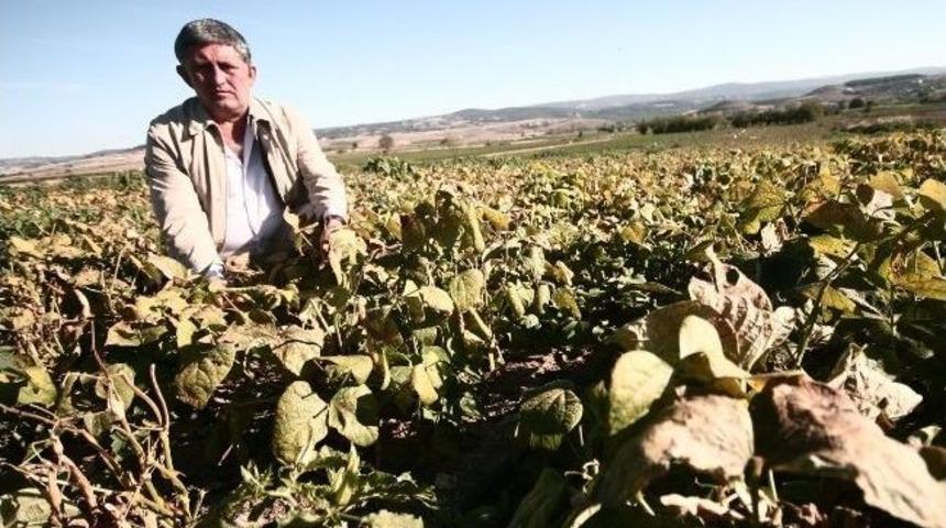 Kırağı &Ccedil;ift&ccedil;iyi Mağdur Etti