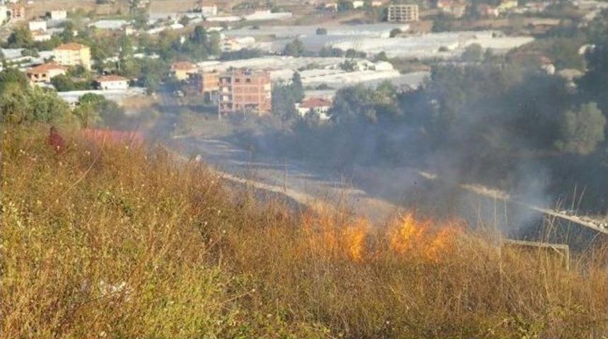 Yalova'da Korkutan &Ccedil;alı Yangını