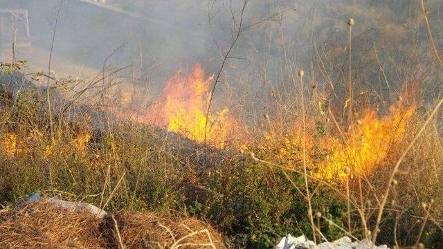 Yalova'da Korkutan Çalı Yangını