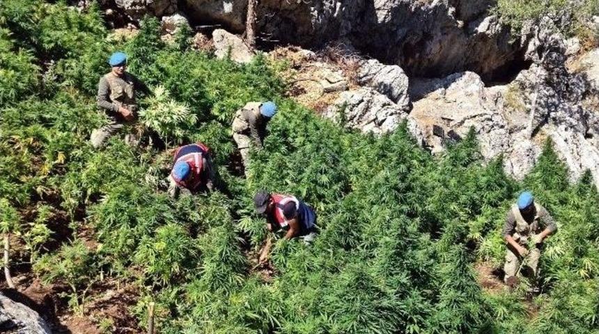 Adana'da Ka&ccedil;ak&ccedil;ılıkla M&uuml;cadele