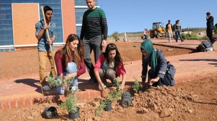 Yeşil &Uuml;niversite İ&ccedil;in Bir Fidan Da &Ouml;ğrencilerden