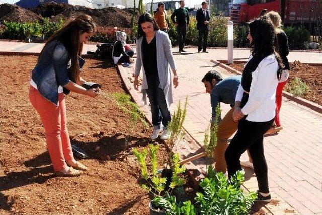 Yeşil Üniversite İçin Bir Fidan Da Öğrencilerden 1