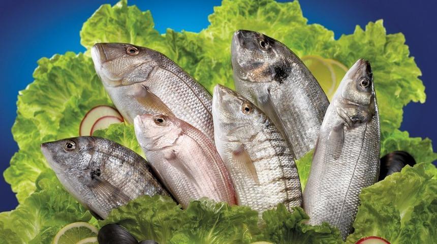 T&uuml;rk Balıkları Anuga Fuarı'nda 5 Bin Kişiye Tattırıldı