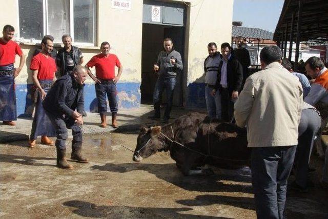 Kurban Kesimi Kursiyerlerine Belgeleri Verildi 3