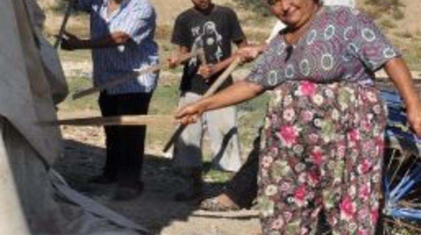 Çaybaşı Mahalle Halkı Fare Nöbetinde