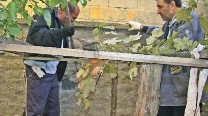 &Ccedil;orum&rsquo;da Yavru Kedi Kurtarma Operasyonu