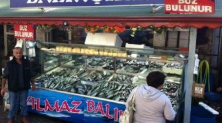 Amasra&rsquo;da Balık Bereketi