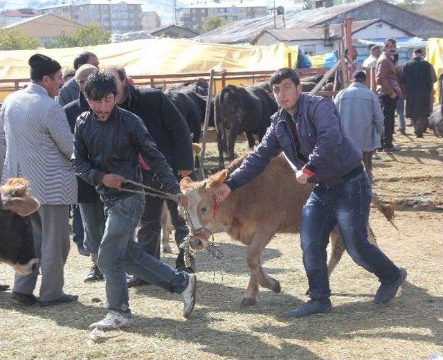 Soğuk Havada Kurban Bayramı Öncesi Sıkı Pazarlıklar Başladı