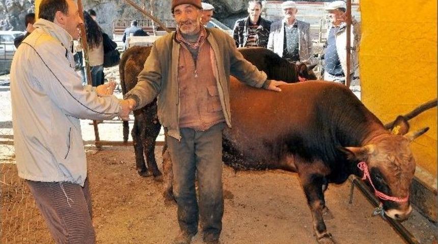 G&uuml;m&uuml;şhane Kurban Pazarında Durgunluk