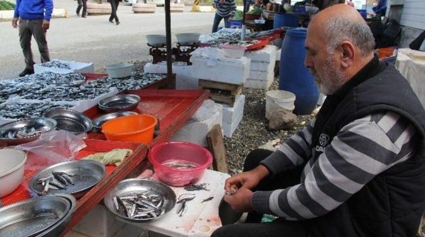 Balık&ccedil;ılar Da, Vatandaşlar Da Fiyatlardan Dertli