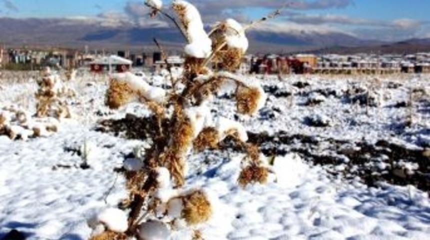 Doğu&rsquo;da Sıcak Hava Bayramla Birlikte Geliyor