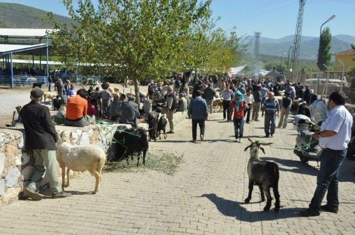 Milas’ta Kurbanlıklar Görücüye Çıktı G4