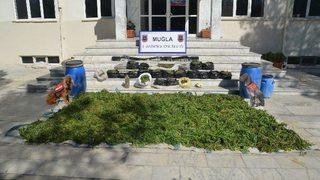 5 Köyde 135 Kilo Esrar Yakalandı