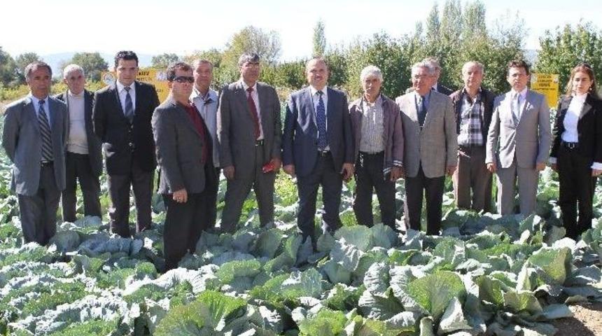 Kışlık Sebzeler Tanıtıldı