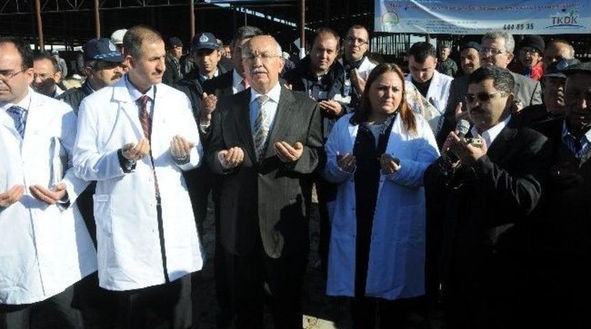 Hayvan Pazarı T&ouml;renle A&ccedil;ıldı