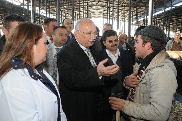 Hayvan Pazarı T&ouml;renle A&ccedil;ıldı 2