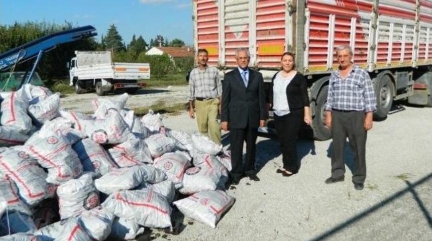 Erenler&rsquo;de 16 Bin Ton K&ouml;m&uuml;r Dağıtılacak