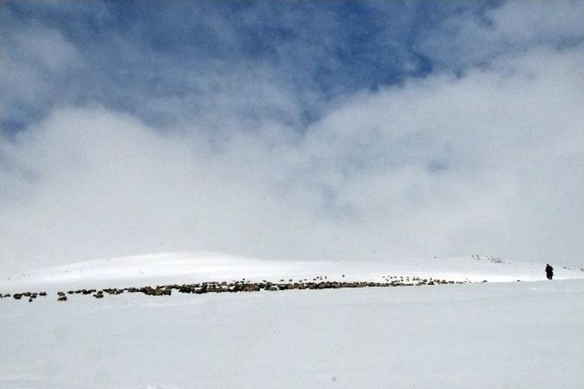 G&uuml;m&uuml;şhane&rsquo;den 3g Manzaraları