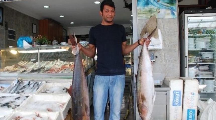 Marmaris'te Akya Zamanı