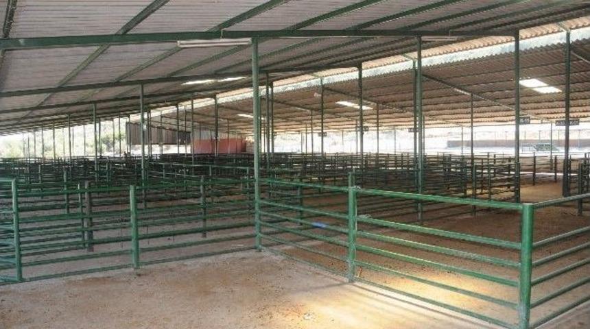 Manisa'da Kurban Satış Ve Kesim Yerleri Belirlendi