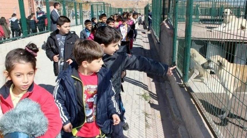 Minik &Ouml;ğrenciler K&ouml;pek Barınağını Ziyaret Etti
