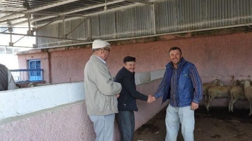 Mezbahane Kurban Bayramına Hazır