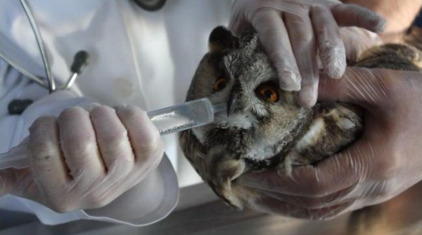 Kırıkkale &Uuml;niversitesi Veteriner Fak&uuml;ltesi Dekanı Prof. Dr. Şevket Arıkan;