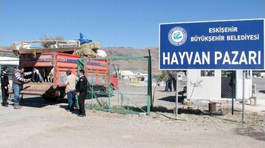 B&uuml;y&uuml;kşehir Belediyesi Hayvan Pazarı Hazır