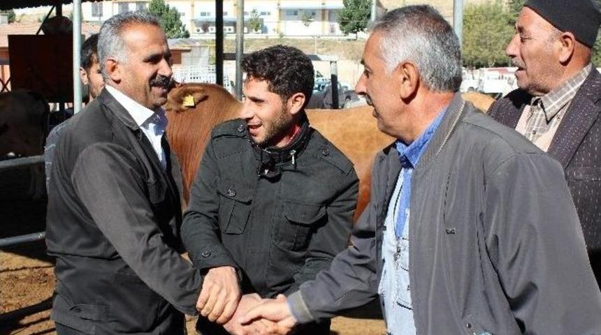 Elazığ'da Kurban Bayramı Hazırlıkları