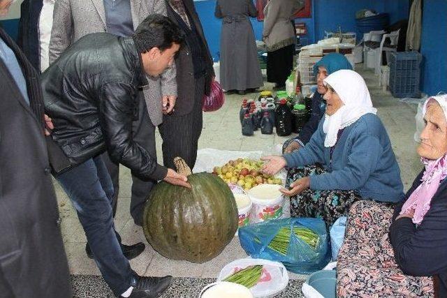 Akdağmadeni İlçesinde Bir Çiftçi 30 Kiloluk Bal Kabağı Yetiştirdi