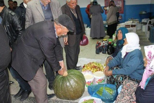 Akdağmadeni İlçesinde Bir Çiftçi 30 Kiloluk Bal Kabağı Yetiştirdi