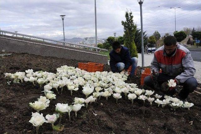 Yenimahalle Parklarında Kış Hazırlığı