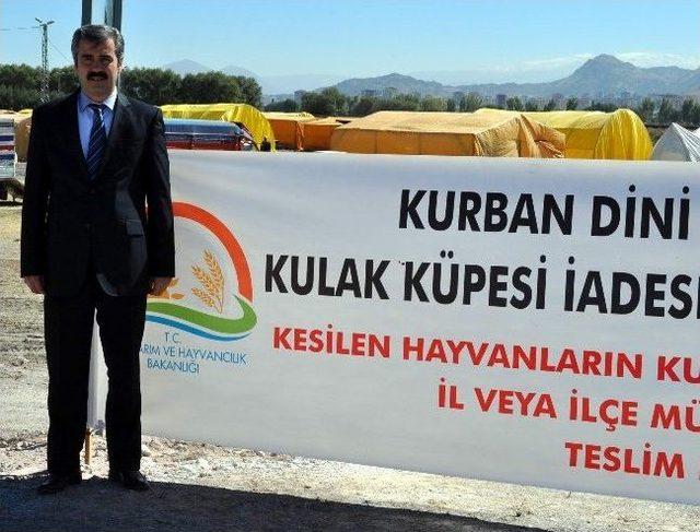 (&ouml;zel Haber) Kurbanlıklara Ultrasonla Gebelik Testi 3